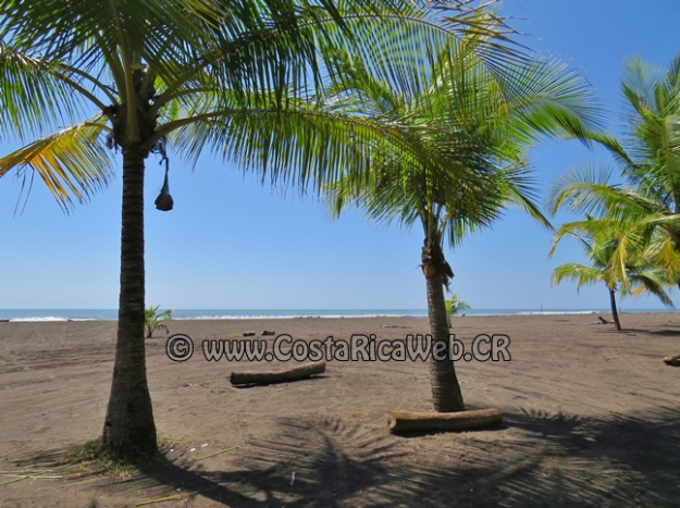 Palo Seco Beach Costa Rica