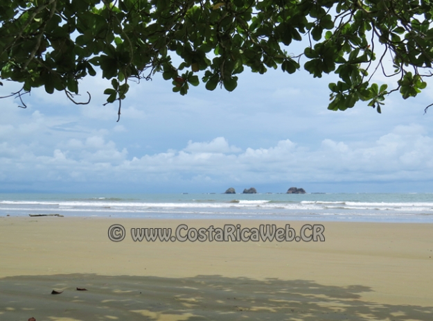 Ballena Beach Costa Rica