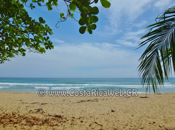 Grande Beach, Limon Costa Rica